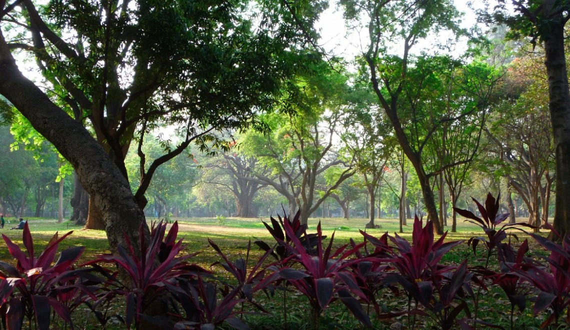 Jogging in India